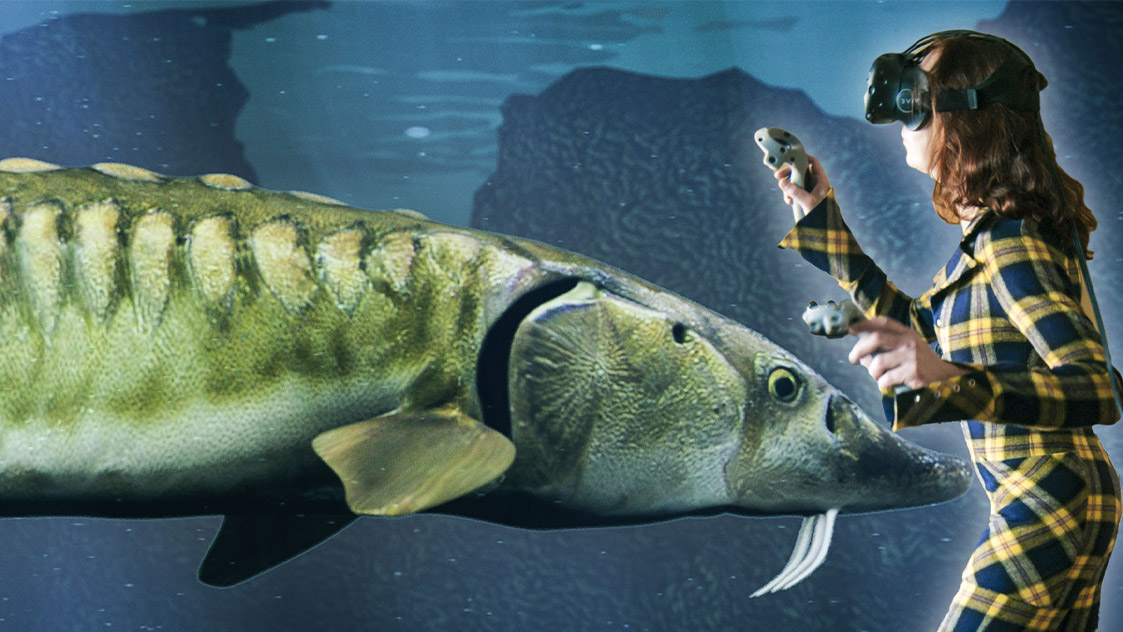 Lebensechte Inszenierung komplexer Themen für Science Center, Museen, Technologieunternehmen. Virtuelles tauchen mit dem Stör